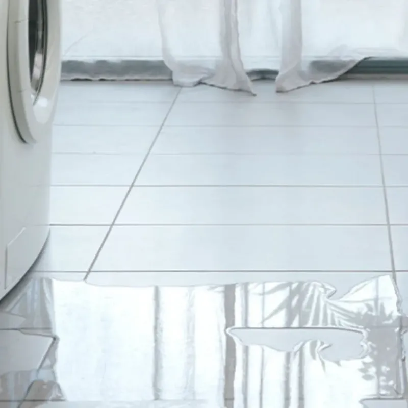 Appliance Leak Cleanup in Baltimore Highlands, MD