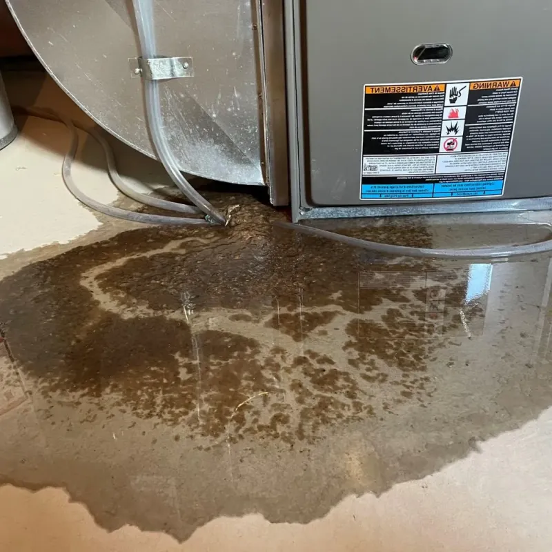 Pipe Burst and Leak Restoration in Baltimore Highlands, MD