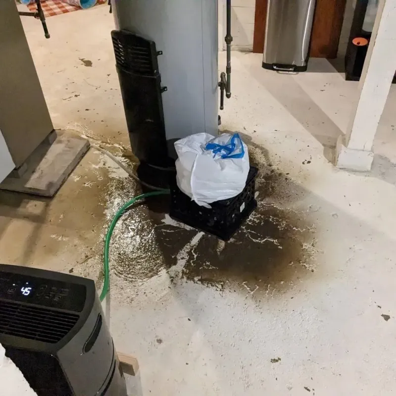 Sewage Backup Cleanup Service in Baltimore Highlands, MD